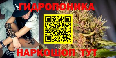 хмурый Кандалакша