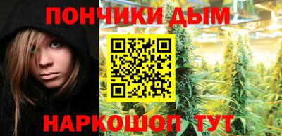 Альфа ПВП Камышлов