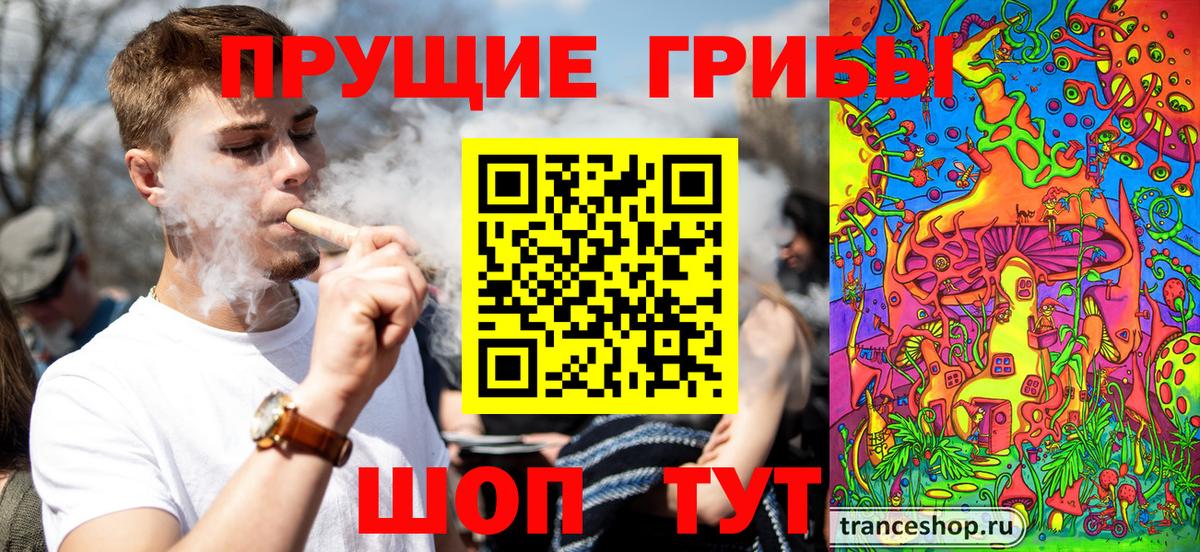 Псилоцибиновые грибы Cubensis  Вход с VPN  Барабинск 