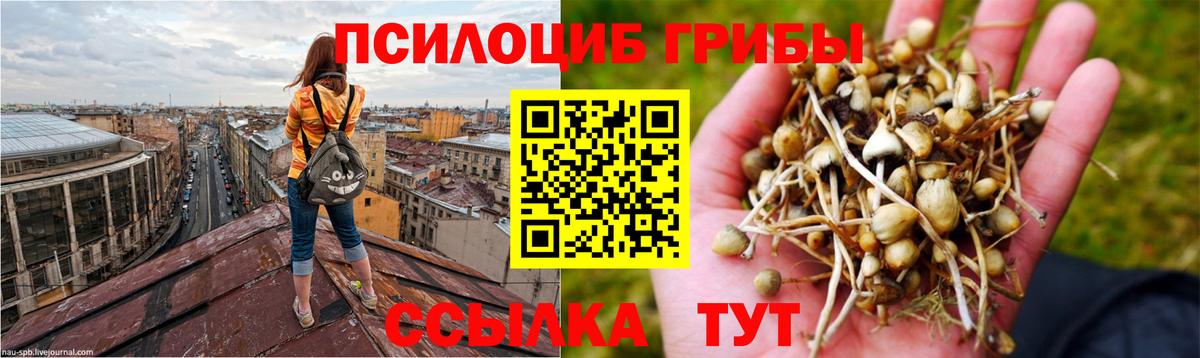 Псилоцибиновые грибы MAGIC MUSHROOMS Барабинск
